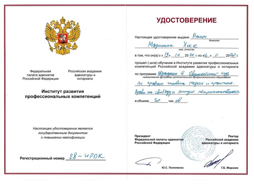 Обращение в Европейский суд по правам человека — повышение квалификации адвоката Полит Марианны